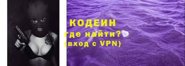 индика Киреевск