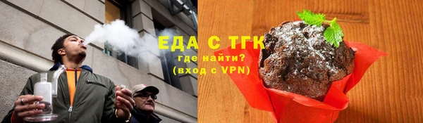 индика Киреевск