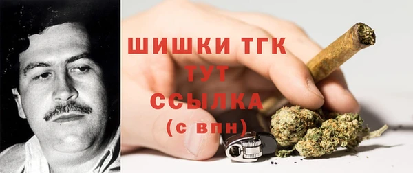 индика Киреевск