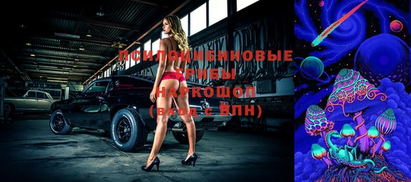 индика Киреевск