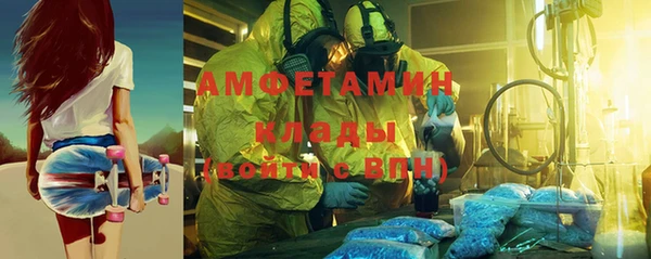 индика Киреевск