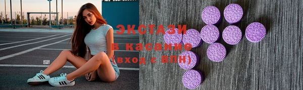 индика Киреевск