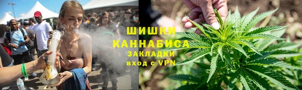 индика Киреевск