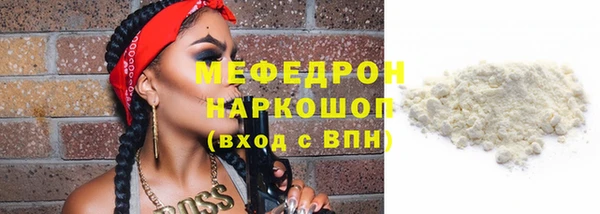 индика Киреевск