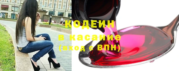 индика Киреевск